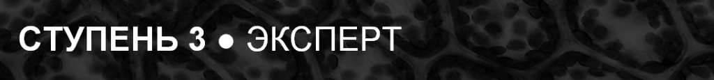 Ступень 3.png