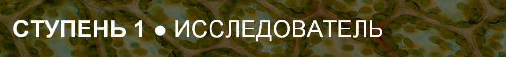 Ступень 1.png